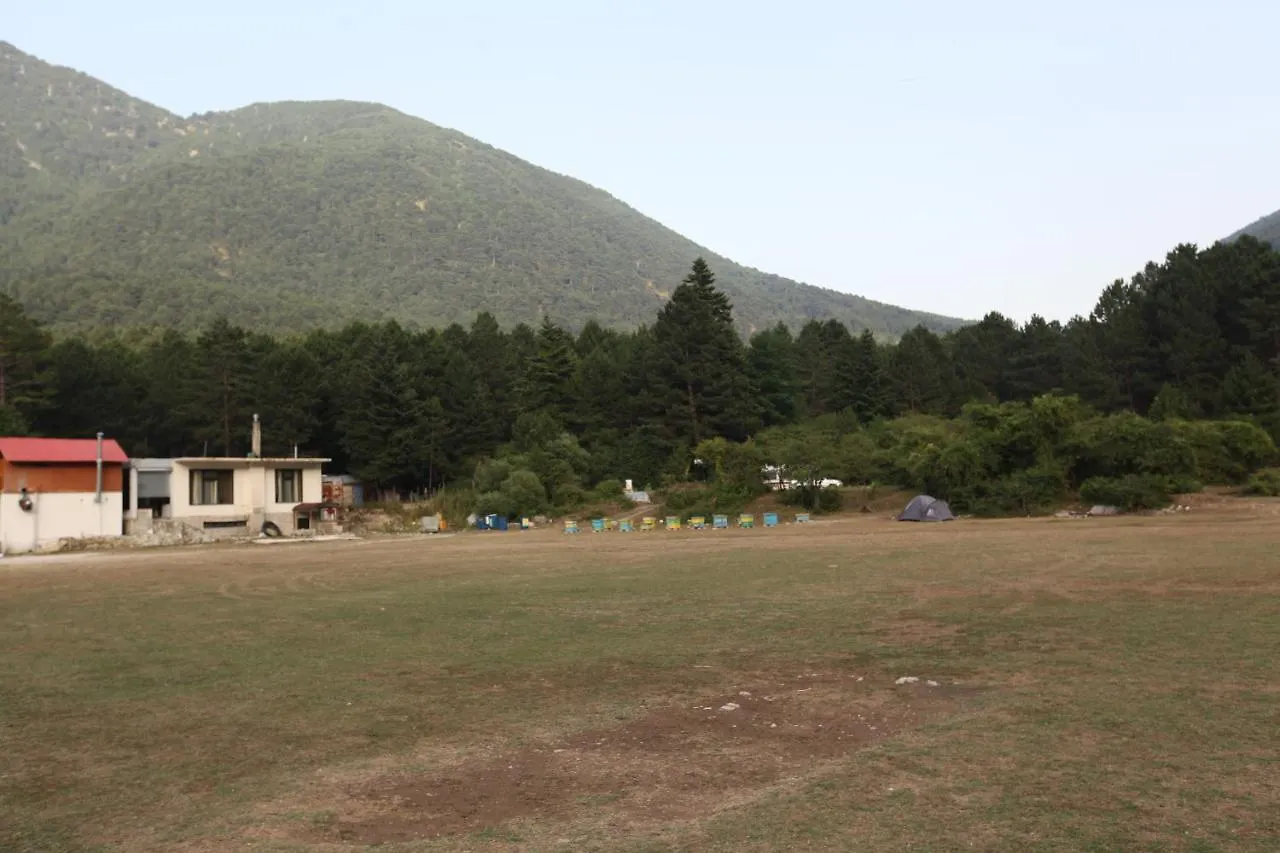 Hamiti Camping Center Dukat 0*,